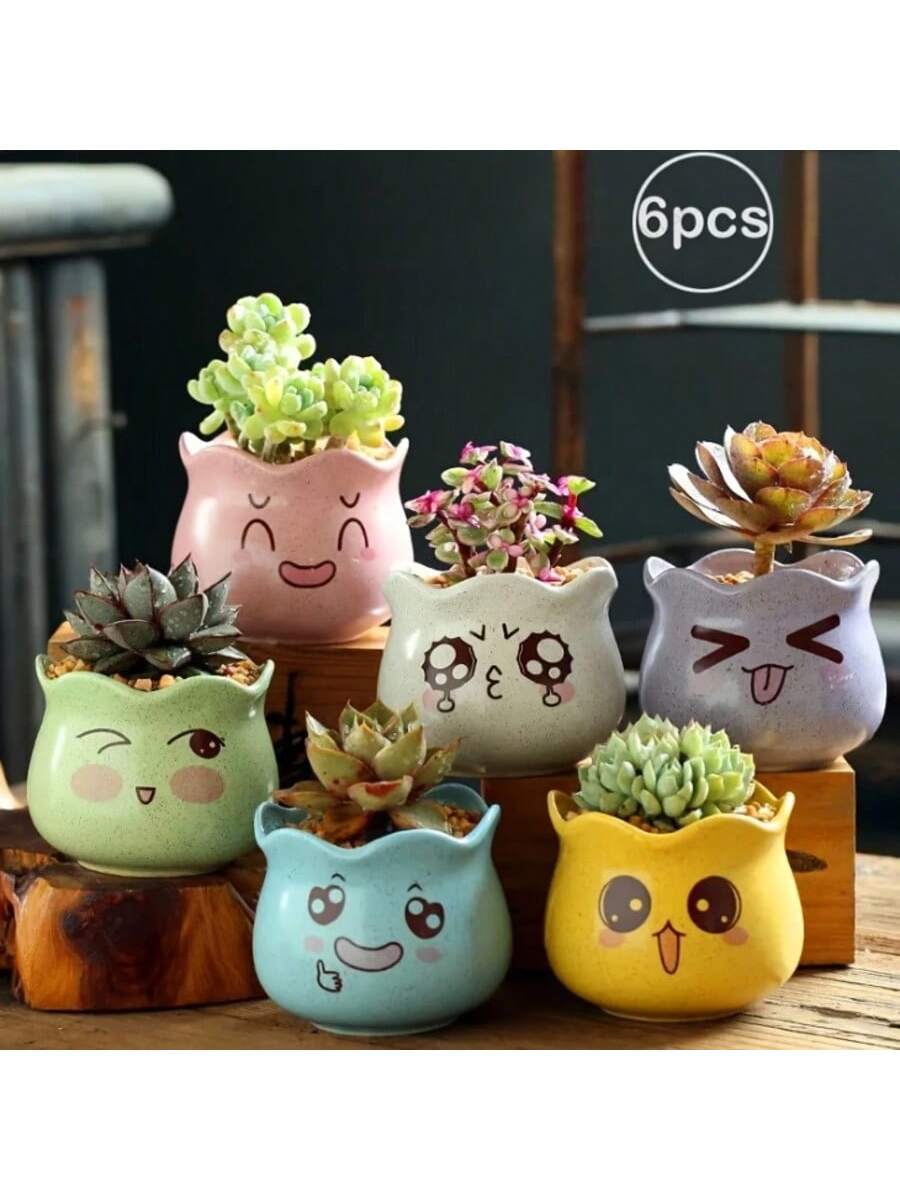 Echeveria Succulent - Conjunto de 6 Vasos de Cerâmica