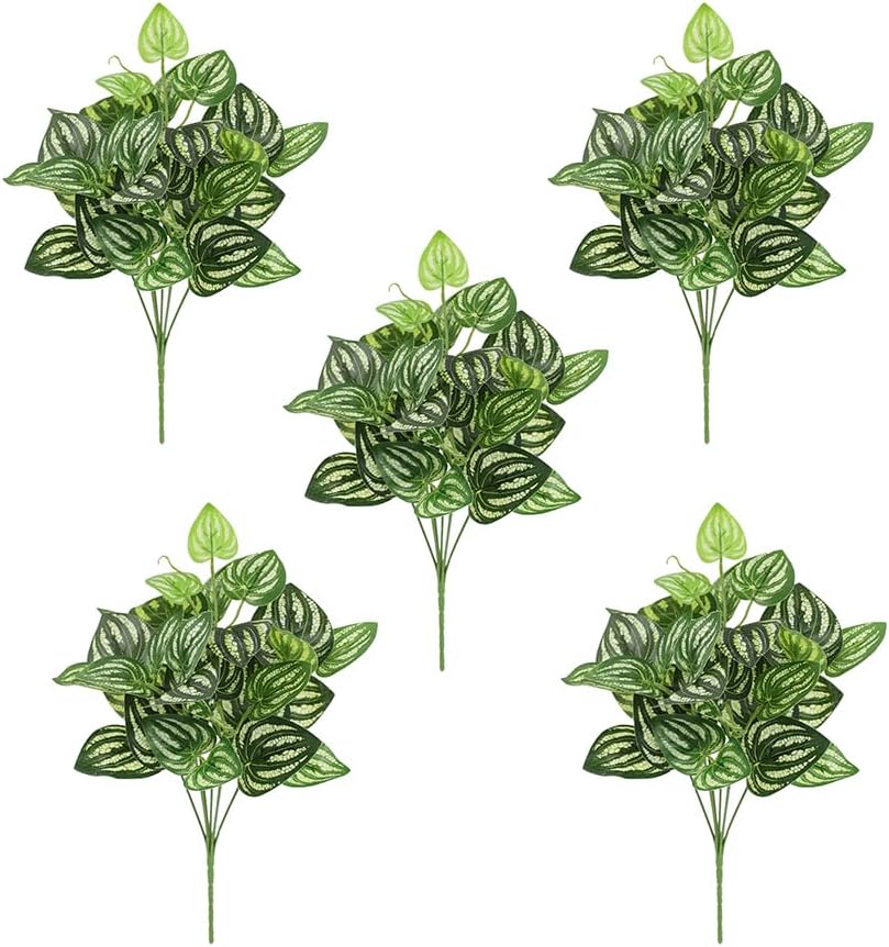 Peperomia Watermelon - 5 pçs melancia peperomia planta artificial