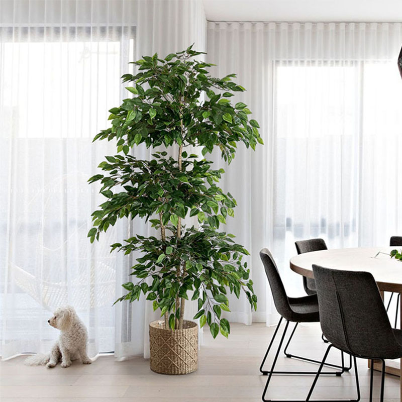 Ficus Artificial Grandes Plant - Ficus Lyrata Tree avaliação e preço