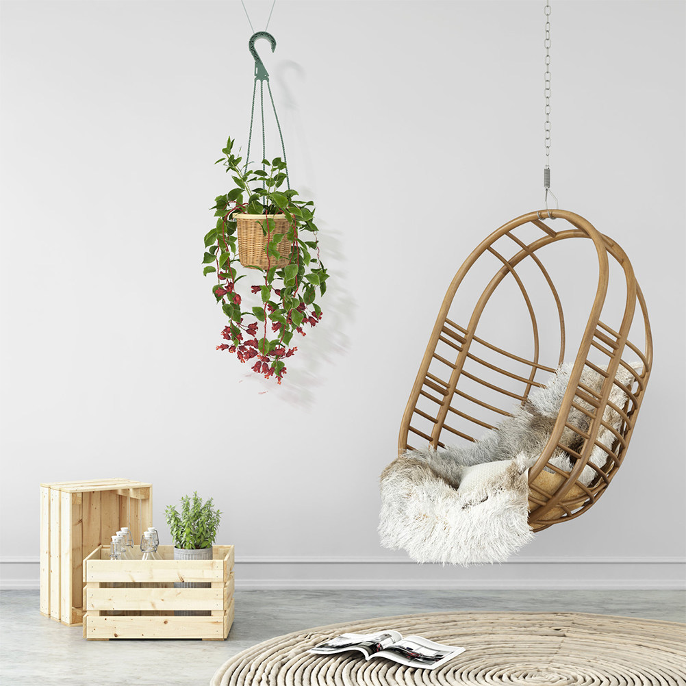 Conjunto de 5 Ganchos para Pla - Spider Plant Hanging avaliação e preço