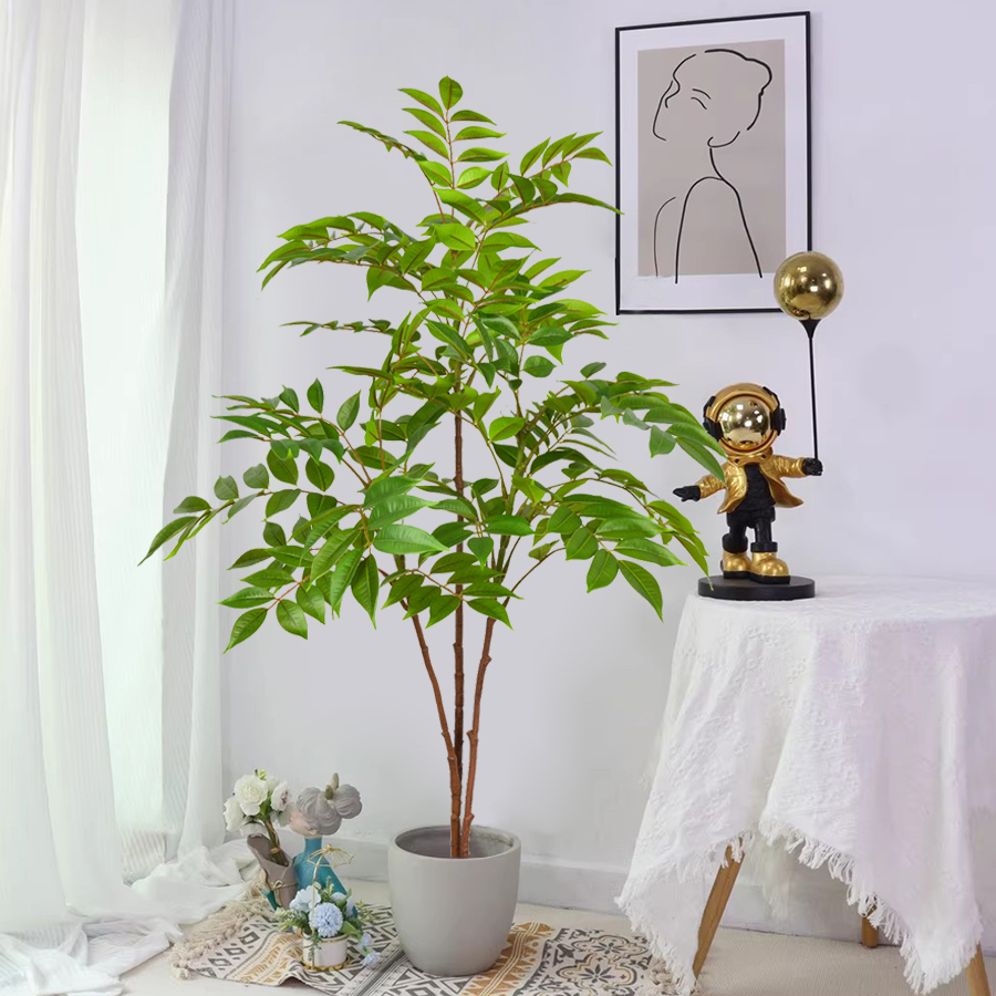 Rama de árvore de ficus artifi - Ficus Lyrata Tree avaliação e preço