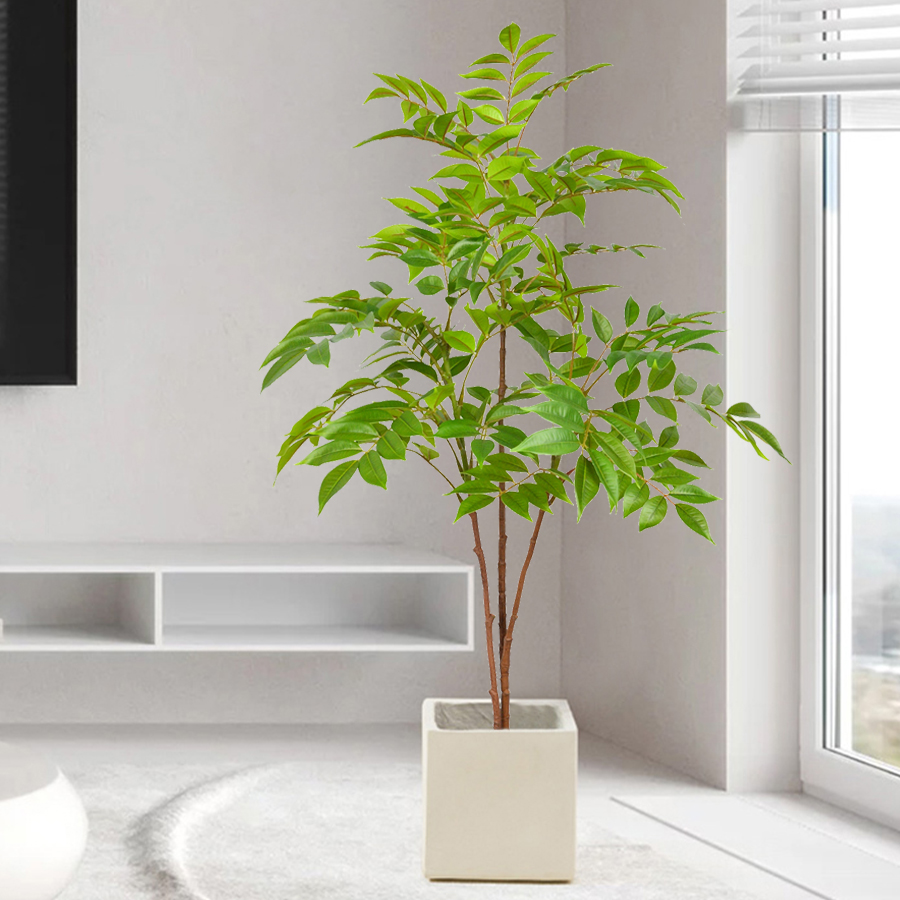 Rama de árvore de ficus artifi - Ficus Lyrata Tree avaliação e preço