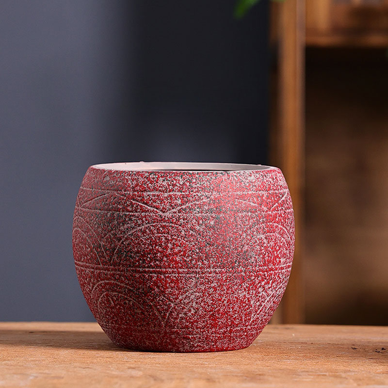 Vaso de flores suculentas medi - Echeveria Succulent avaliação e preço