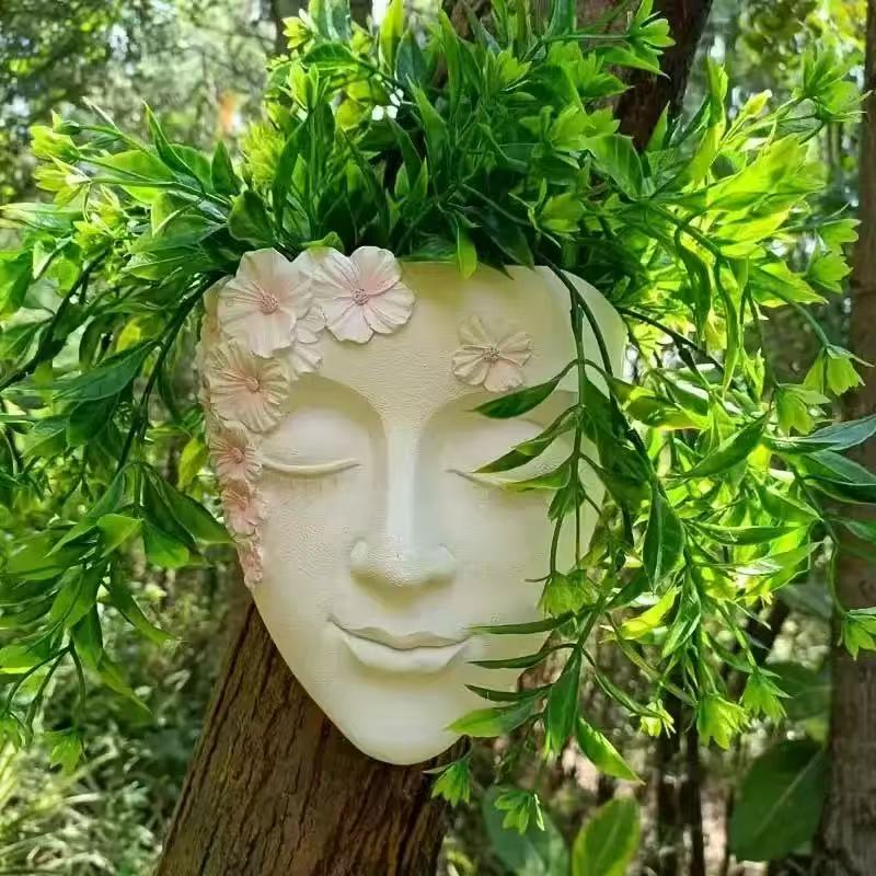 Criativo fixado na parede vaso - Echeveria Succulent avaliação e preço