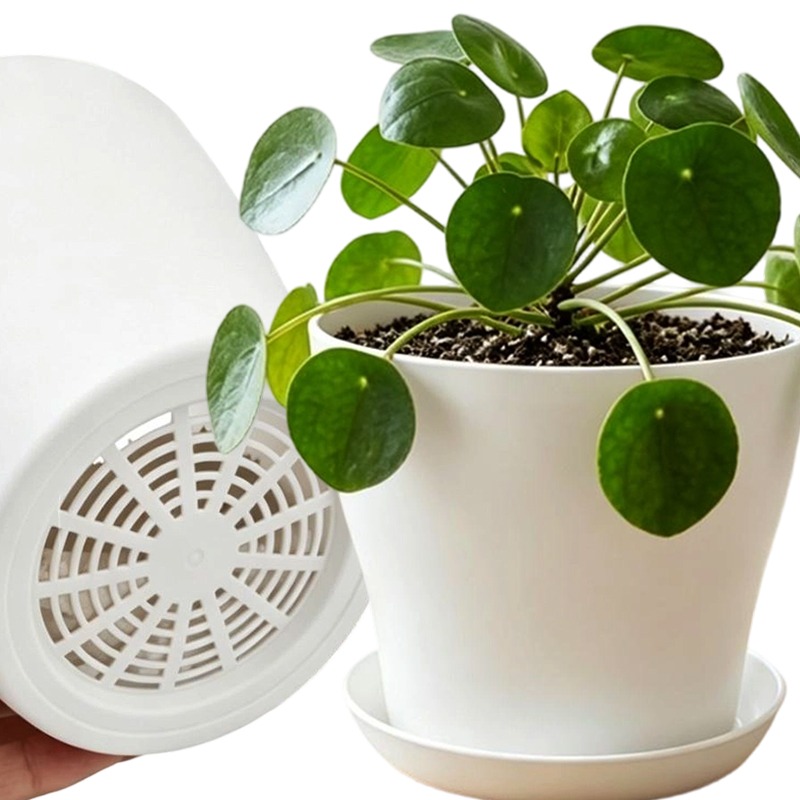 Conjunto de Vasos com Furos de - Echeveria Succulent avaliação e preço