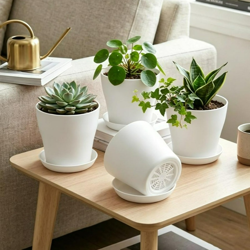 Conjunto de Vasos com Furos de - Echeveria Succulent avaliação e preço